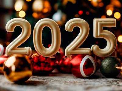 Поздравляем Вас с наступающим Новым 2025 годом!